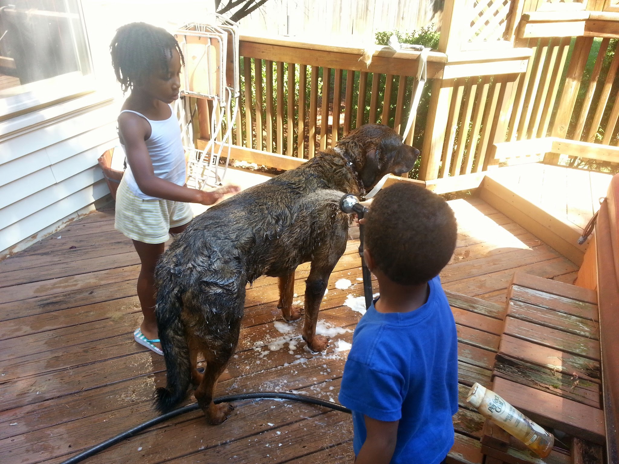 kids and pup