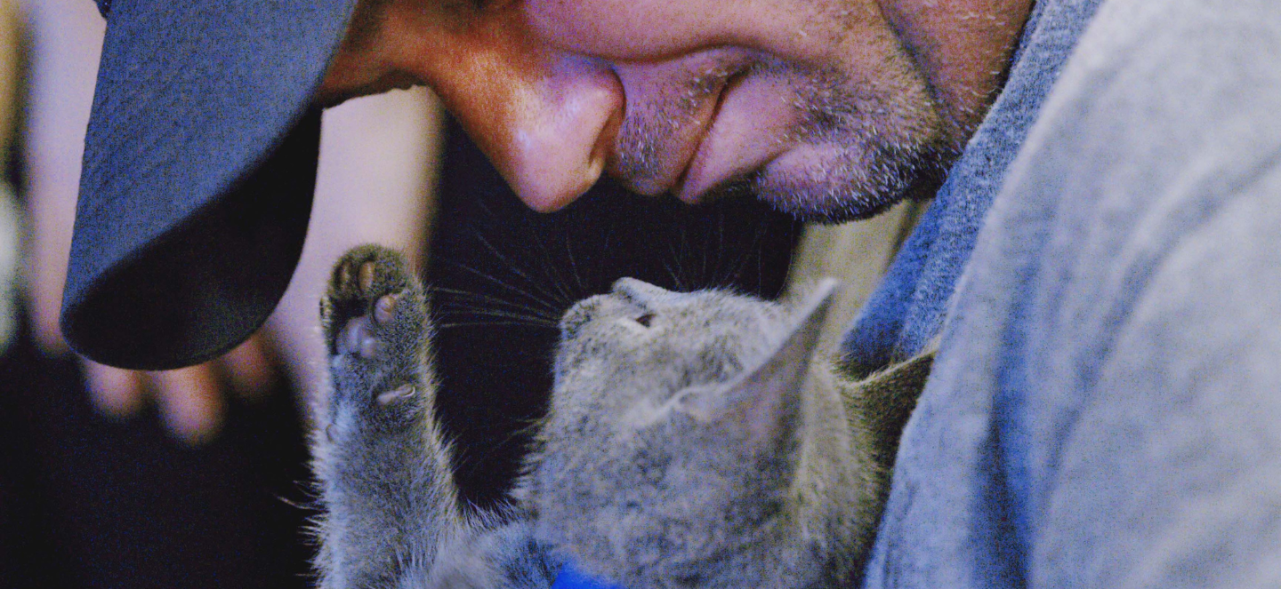 man in baseball cap and gray cat