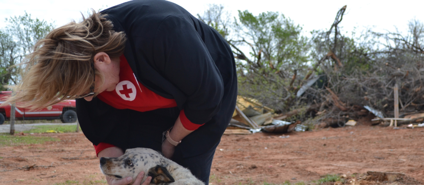 dog seeks reassuring human touch after riding out a storm