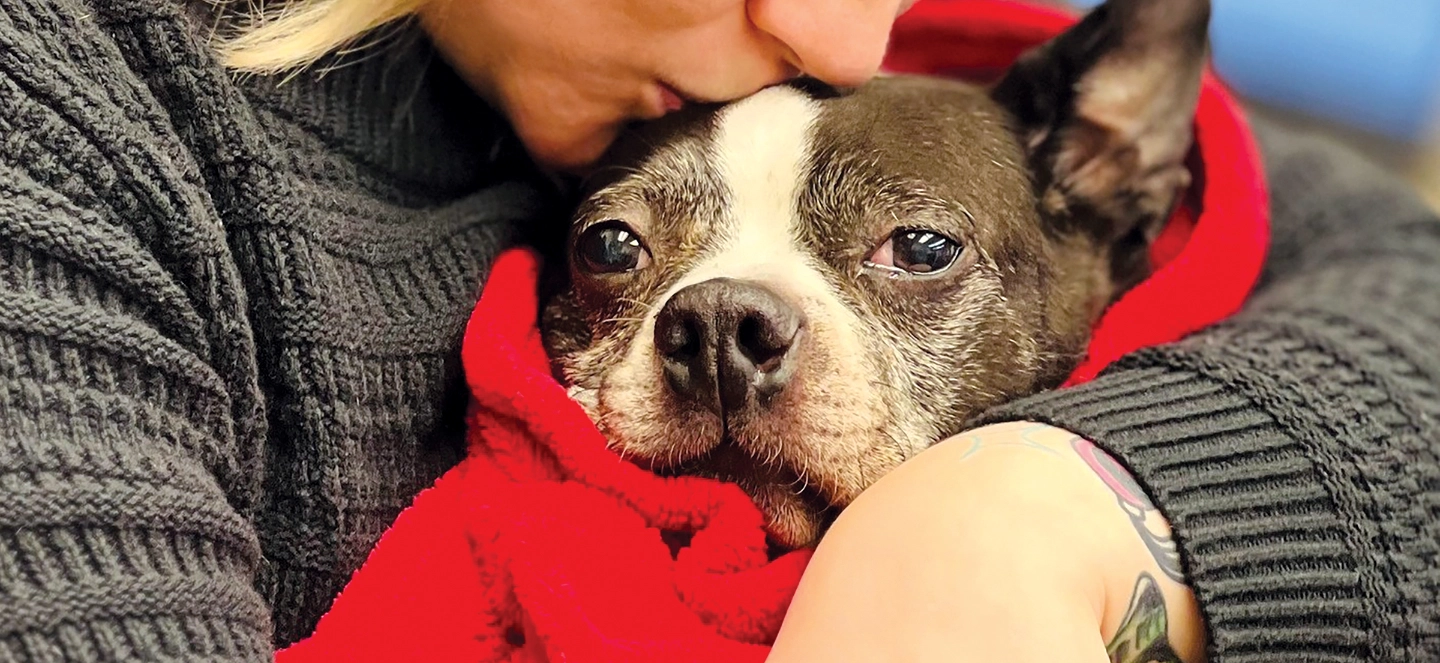 a woman kisses the top of a frenchie's head