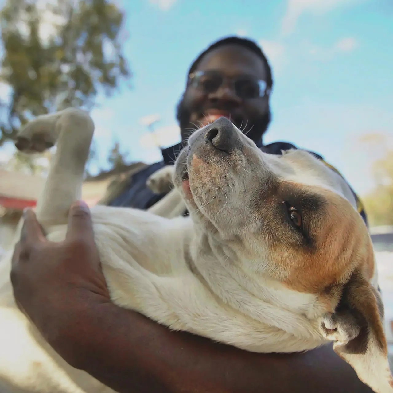 a man holds a dog in his arms